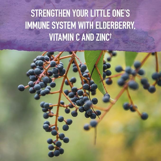 Garden of Life Organics Elderberry Immune Support for Kids with Zinc, Vitamin C - Kids Elderberry & Sleep Immune Syrup Liquid, Bedtime Herbs for Children, No Alcohol, No Added Sugar, 3.92 fl oz