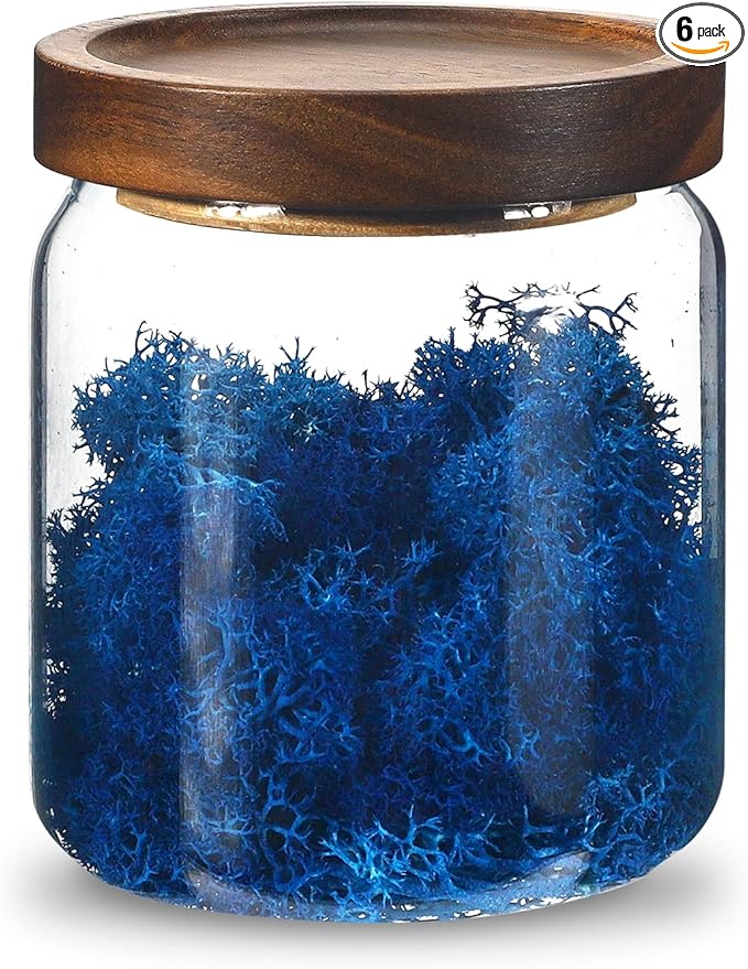 Glass Spice Jars Seasoning Containers Small Glass Jars with Lids Airtight Food Storage Canister for Kitchen Pantry Sugar Tea Coffee Bean Nuts Cookies Herbs Salt (473ml/16oz-1 pcs)