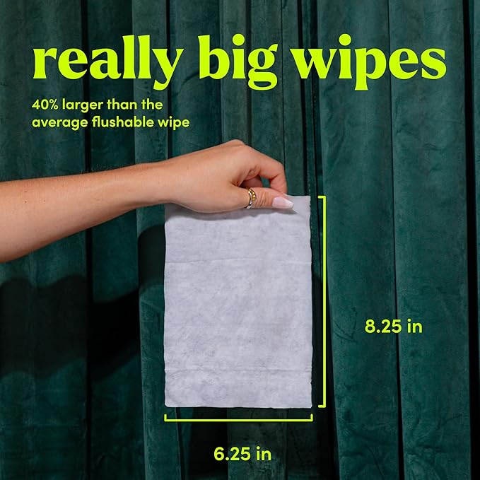 goodwipes Flushable Butt Wipes - Extra Large Adult Wet Wipes For Women & Men - Bathroom Essentials - Sewer & Septic Safe - Cedar, 153 Count (3 Packs + 3 Individually Wrapped)